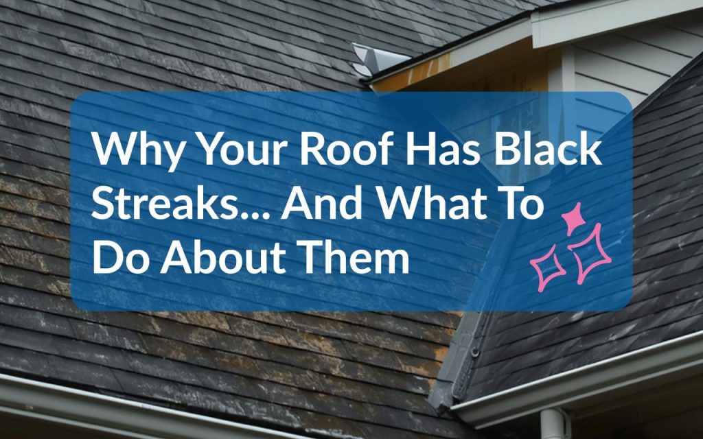 Why Your Roof Has Black Streaks and What Clayton Homeowners Should Know