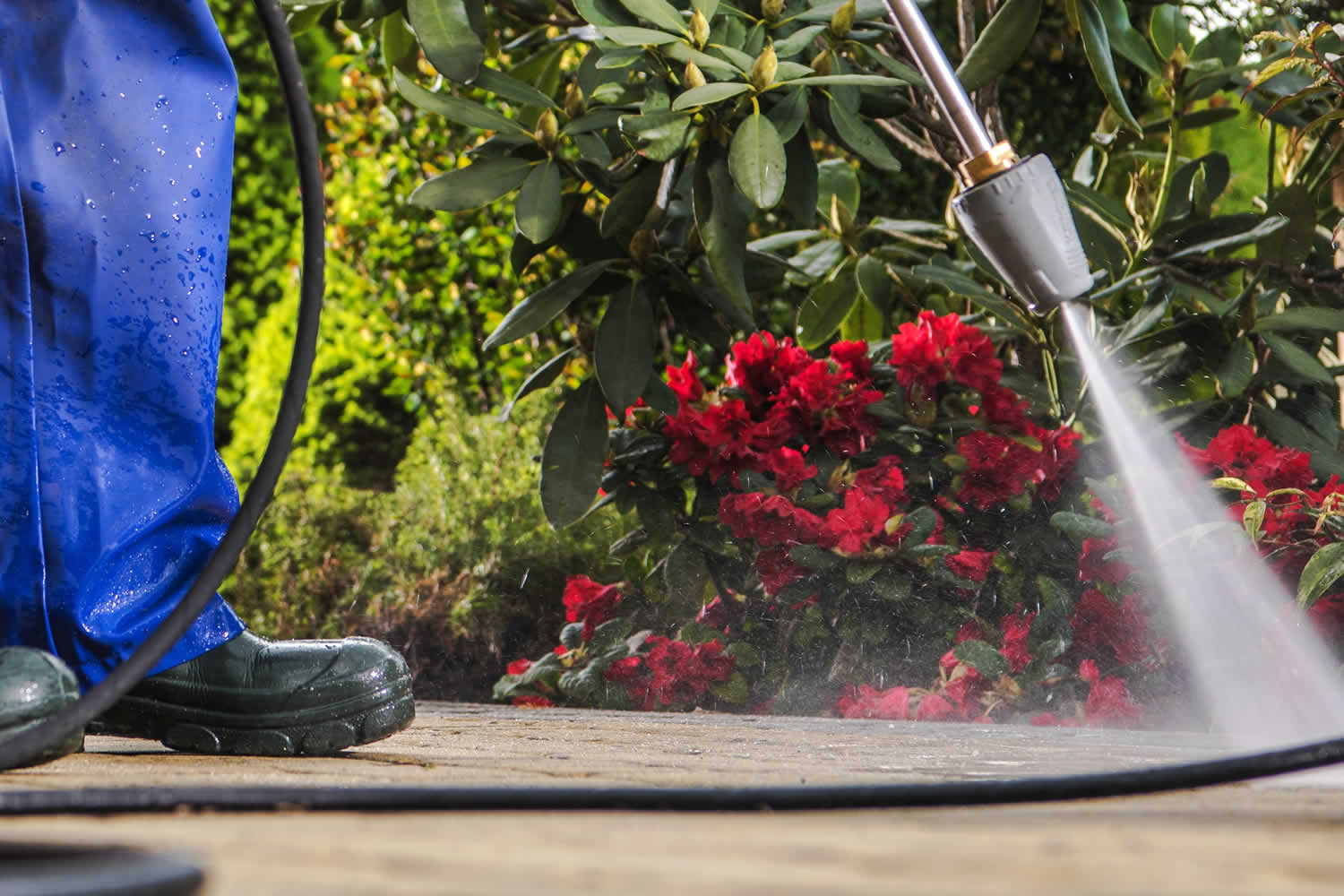 Power washing driveway and concrete cleaning in Apex NC