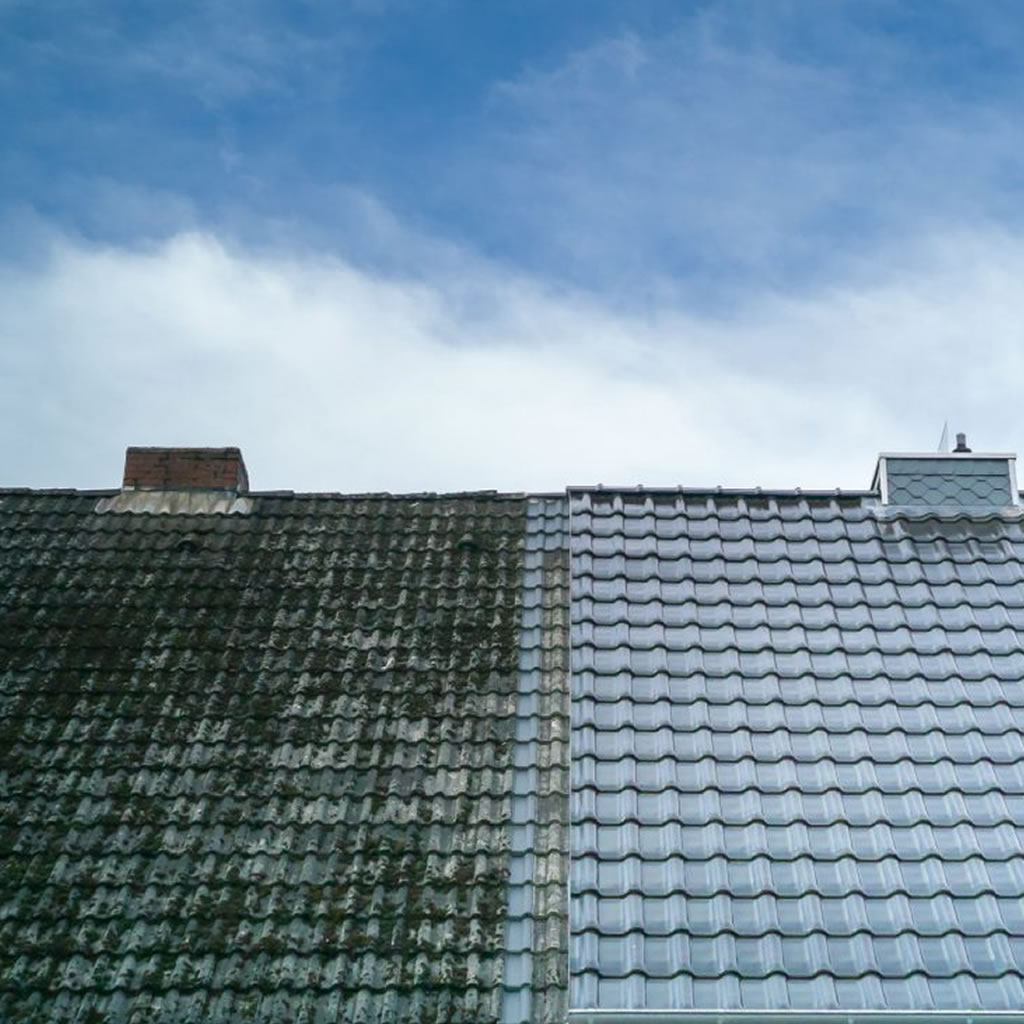 Roof stain and algae removal for homes and businesses in Clayton NC
