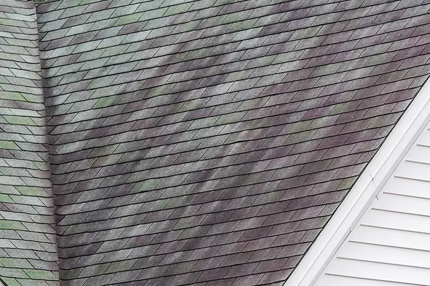 Roof washing for black streaks algae and roof stains in Clayton NC