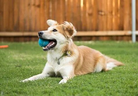 Eco Freindly Pressure Washing